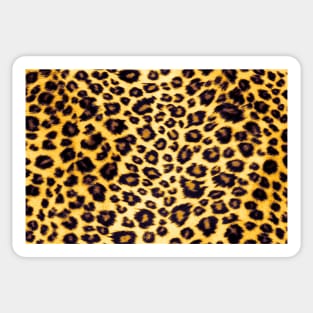 Leopard Print Pattern Fabric Sticker